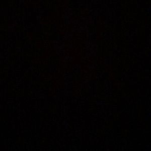 Meet your Posher, Shea